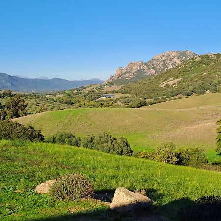 Bed and Breakfast Ferme De Roccapina Sarragia Exterior foto